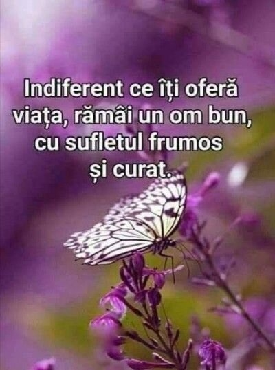 Doresc colaborare (angajare /asociere), cu o doamna antreprenor